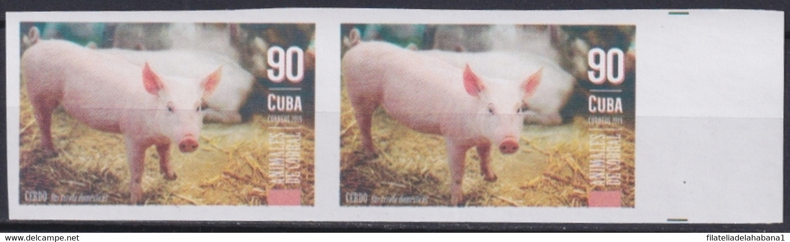 2019.191 CUBA MNH 2019 IMPERFORATED PROOF 90c ANIMALES DE CORRAL CERDOS PIG. - Sin Dentar, Pruebas De Impresión Y Variedades