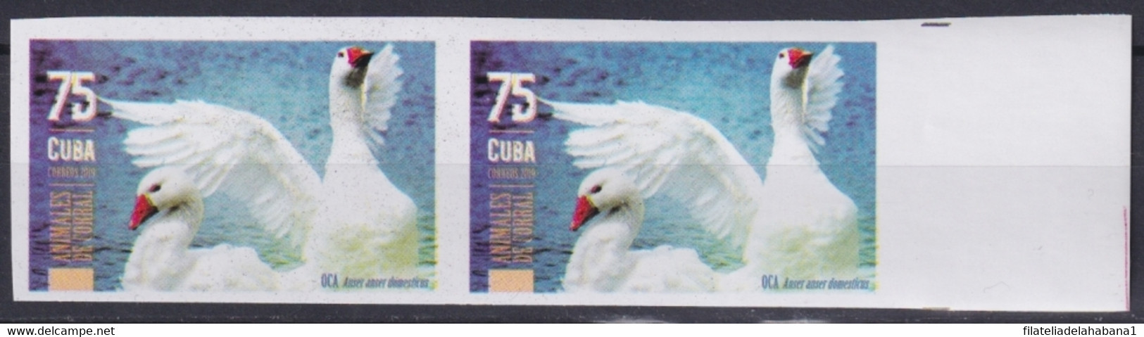 2019.193 CUBA MNH 2019 IMPERFORATED PROOF 90c ANIMALES DE CORRAL BIRD CISNE AVES. - Imperforates, Proofs & Errors