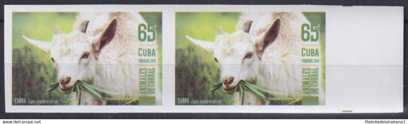 2019.194 CUBA MNH 2019 IMPERFORATED PROOF 65c ANIMALES DE CORRAL GOAT CABRA. - Ongetande, Proeven & Plaatfouten