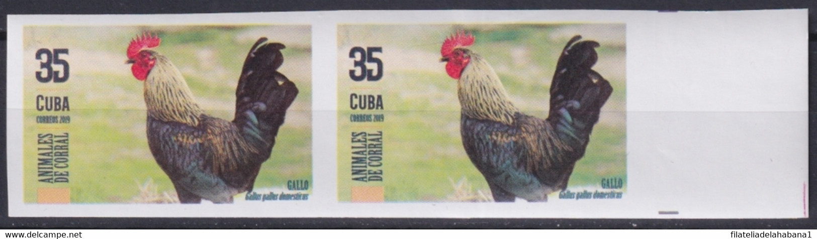 2019.195 CUBA MNH 2019 IMPERFORATED PROOF 90c ANIMALES DE CORRAL BIRD GALLO ROOSTER. - Sin Dentar, Pruebas De Impresión Y Variedades