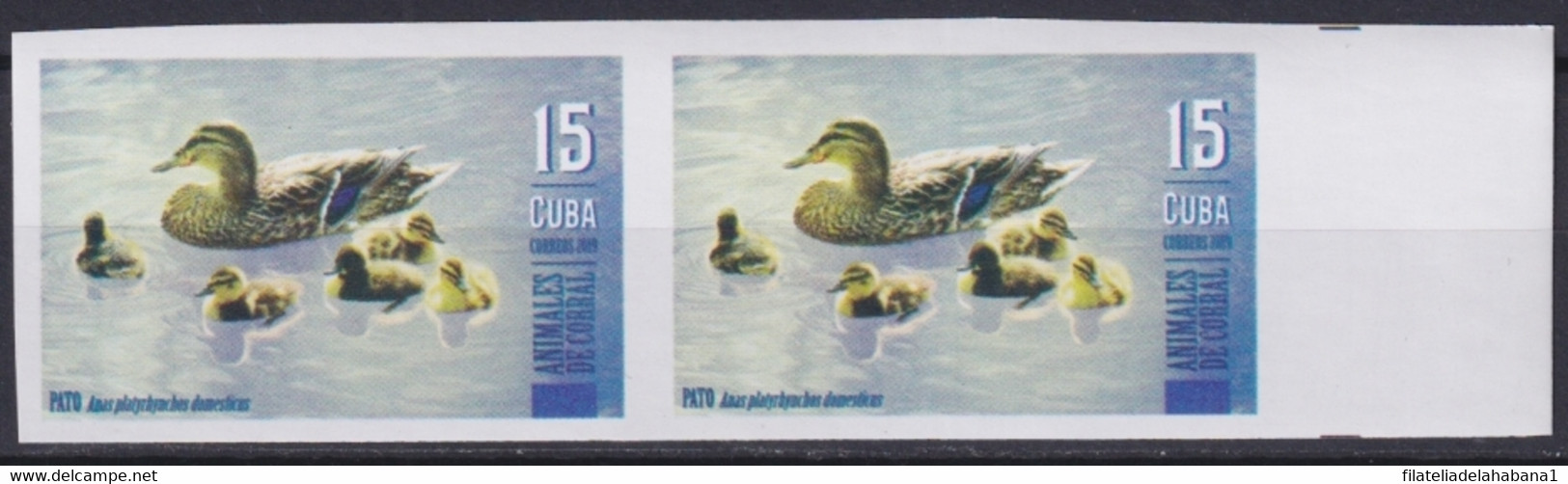 2019.196 CUBA MNH 2019 IMPERFORATED PROOF 90c ANIMALES DE CORRAL BIRD AVES DUCK PATOS. - Imperforates, Proofs & Errors