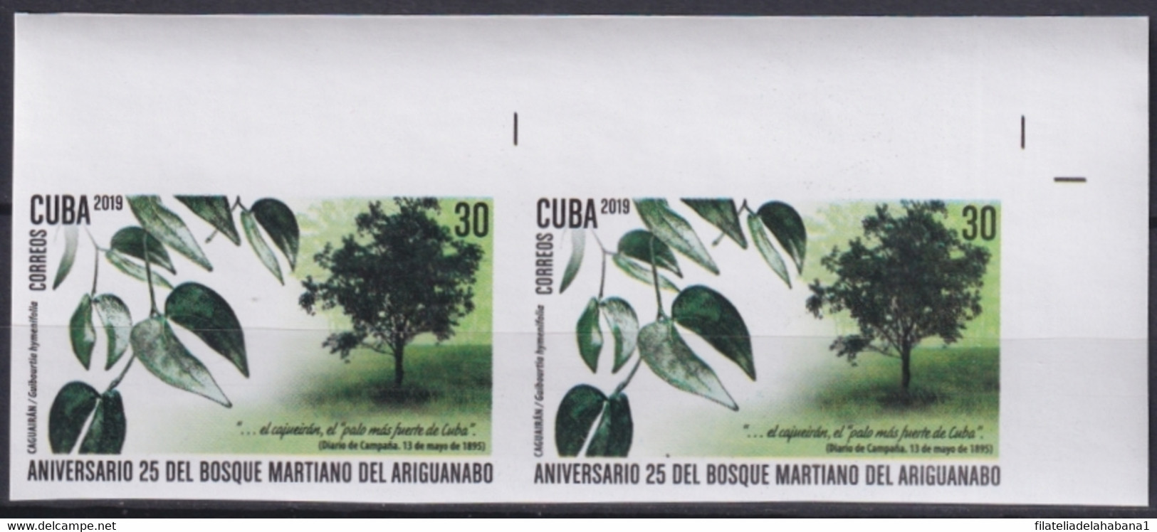 2019.206 CUBA MNH 2019 IMPERFORATED PROOF 30c MARTI TREE ARIGUANABO CAGUAIRAN. - Ongetande, Proeven & Plaatfouten
