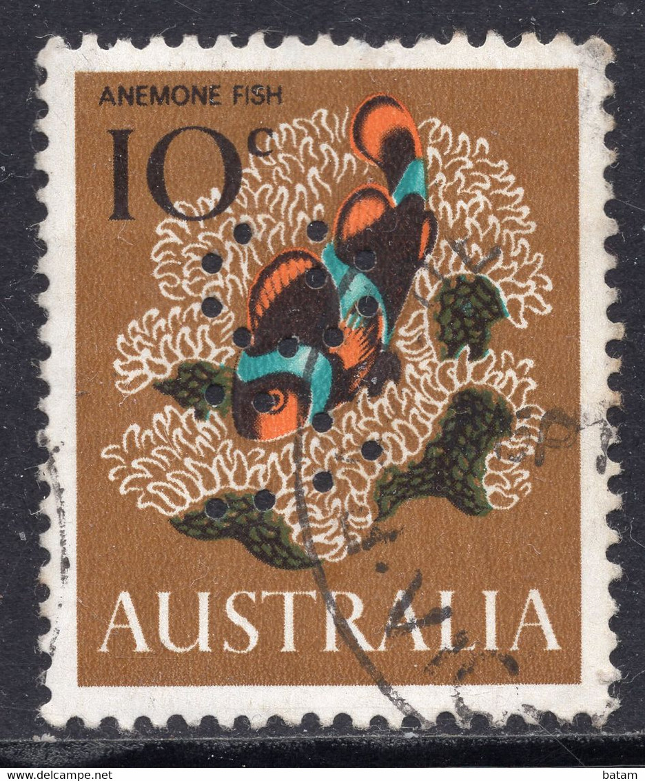 Australia 1966 - Marine Life - Perfins "VG" - Perfins