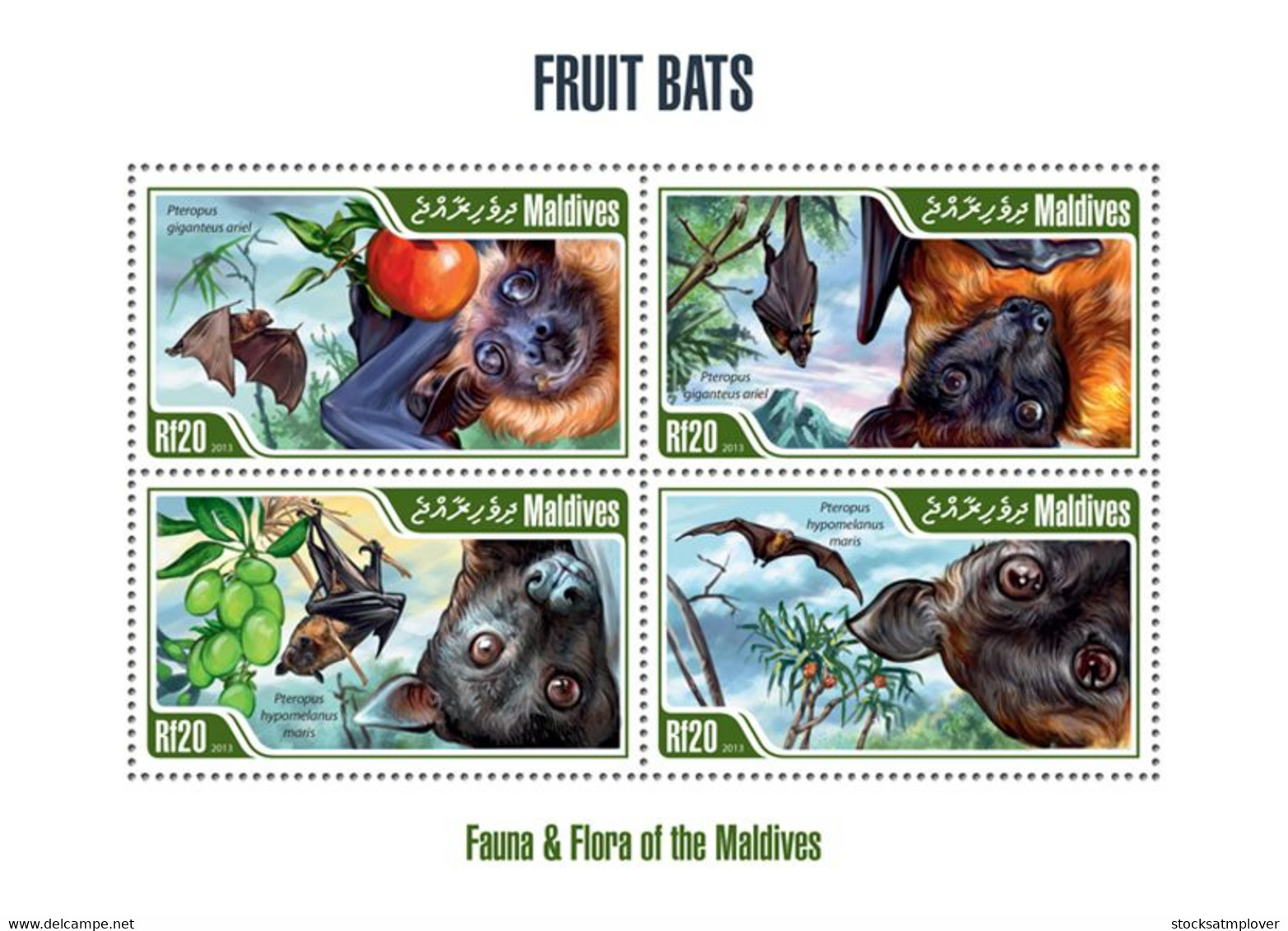 Maldives 2013 Fauna Fruit Bats - Maldives (1965-...)