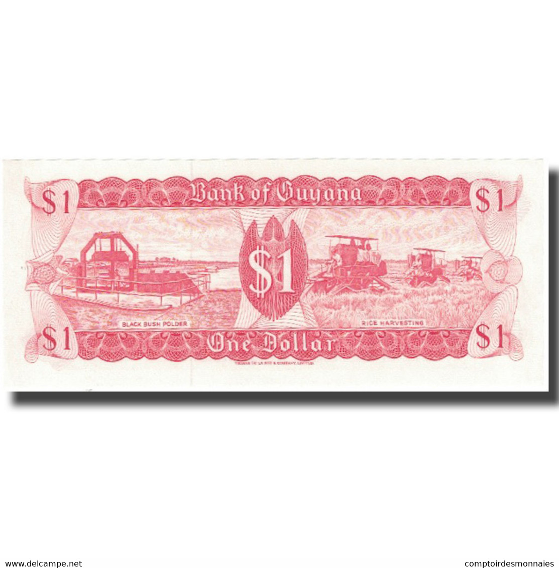 Billet, Guyana, 1 Dollar, KM:21a, NEUF - Guyana