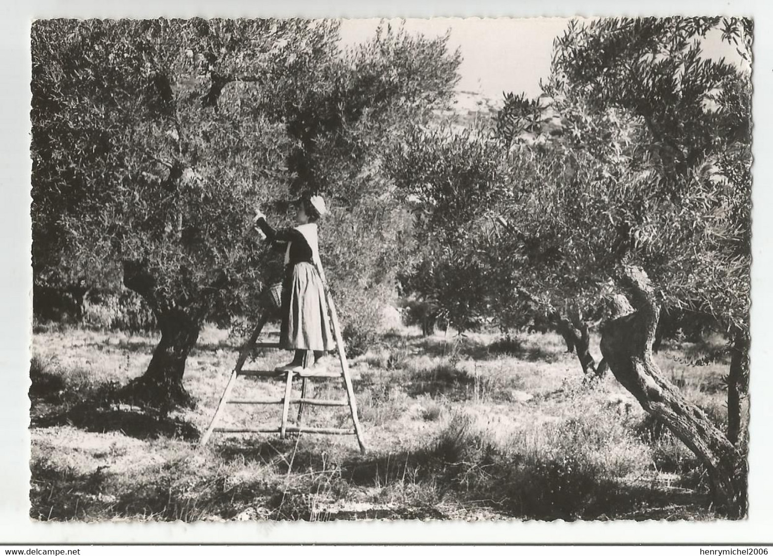 13 Une Mireille Aux Olivades Ed Photo Art De Provence D'augier G Cachet Fontvieille 1951 - Fontvieille