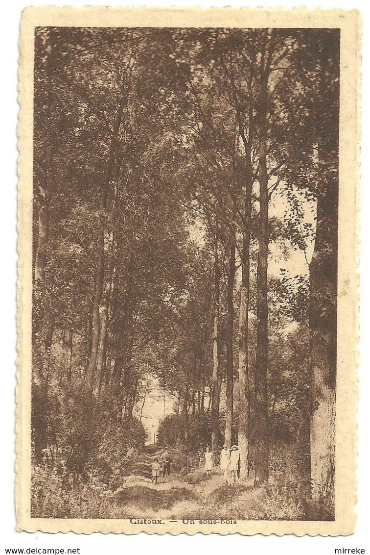 §  - GISTOUX   -  Un Sous-bois - Chaumont-Gistoux