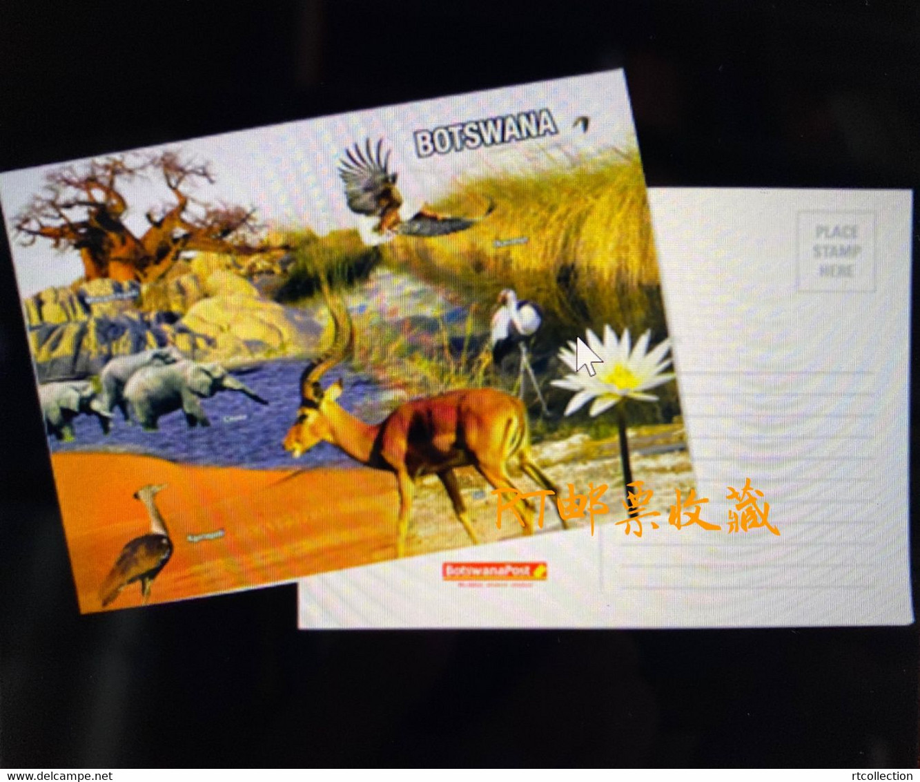 Botswana 2000 Postal Card Postcard Wetlands River Wildlife Africa Animals Nature Bird Elephant Fauna Birds River Mammals - Botsuana