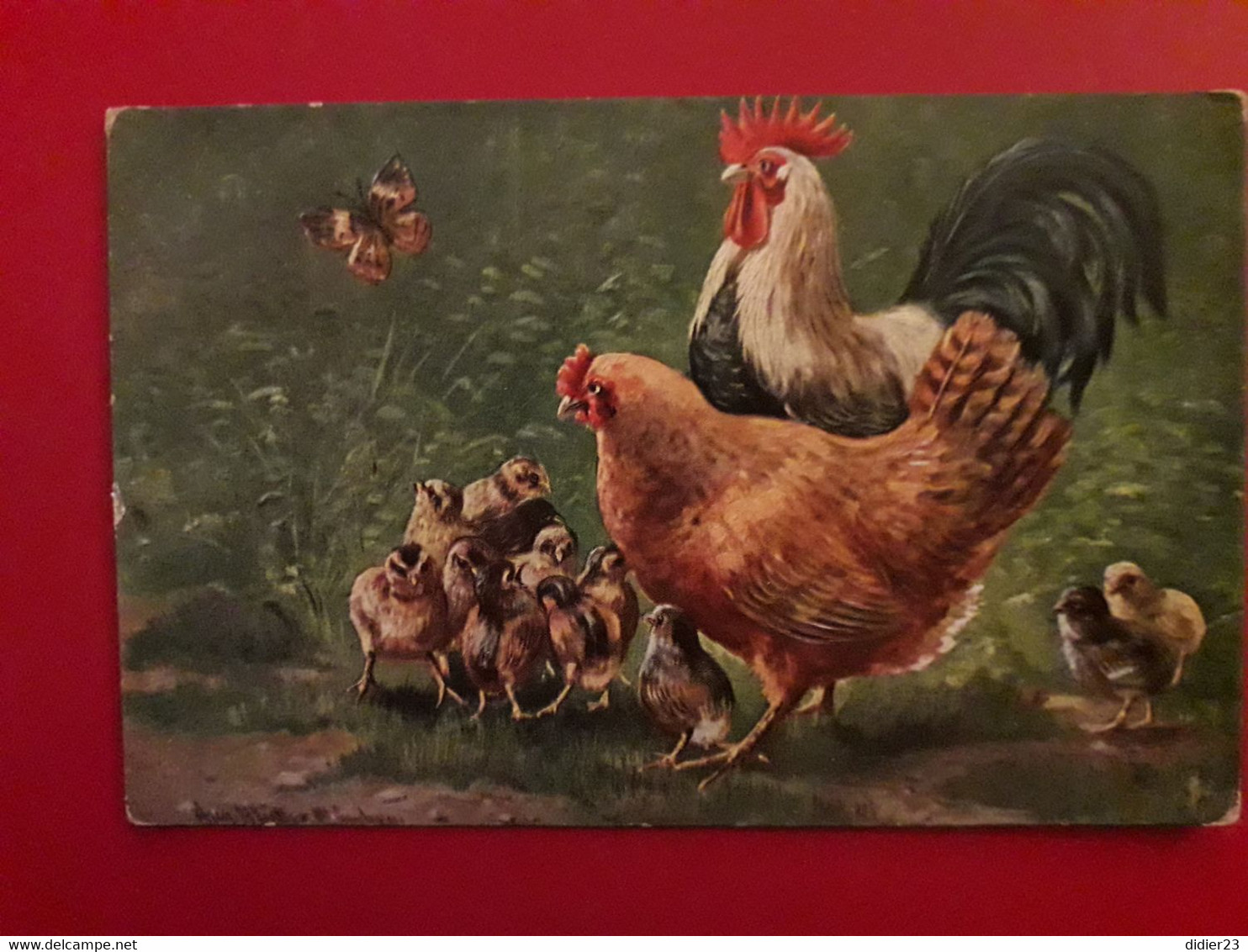 POULE POUSSIN POULAILLER COQ - Luechwitz-Kooreffski