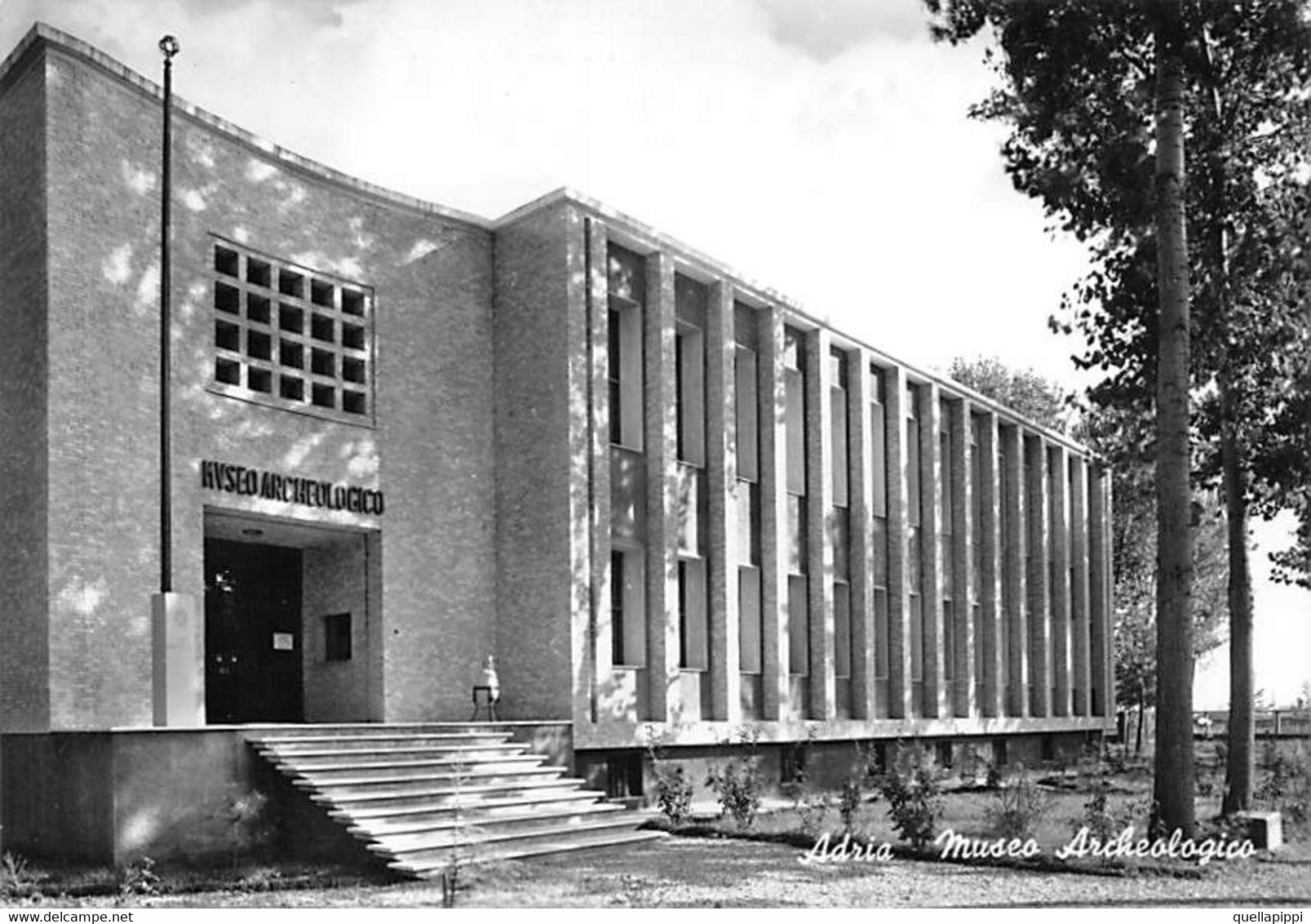 012211 "(RO) ADRIA - MUSEO ARCHEOLOGICO"   ARCH. '900.  VERA FOTO. CART NON SPED - Rovigo