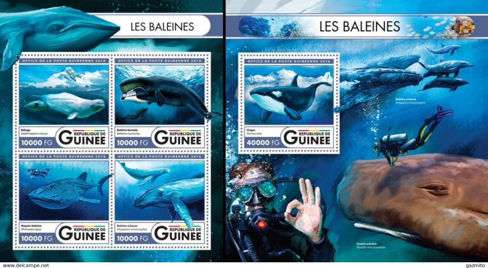 Guinea 2016, Animals, Whales, Diving, 4val In BF +BF - Plongée