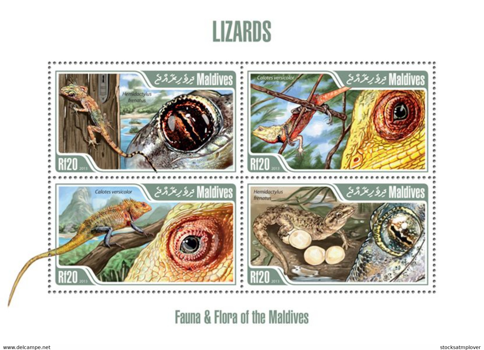 Maldives 2013 Fauna Lizards - Maldives (1965-...)