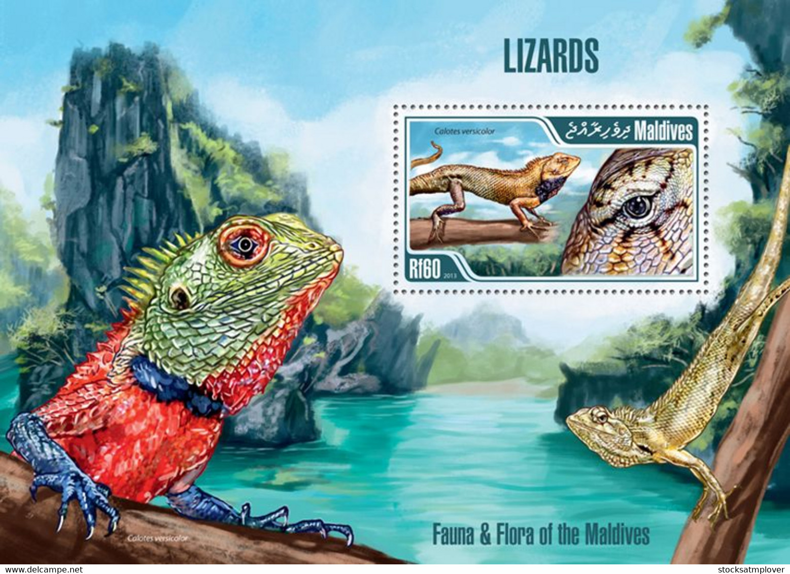 Maldives 2013 Fauna Lizards - Maldives (1965-...)
