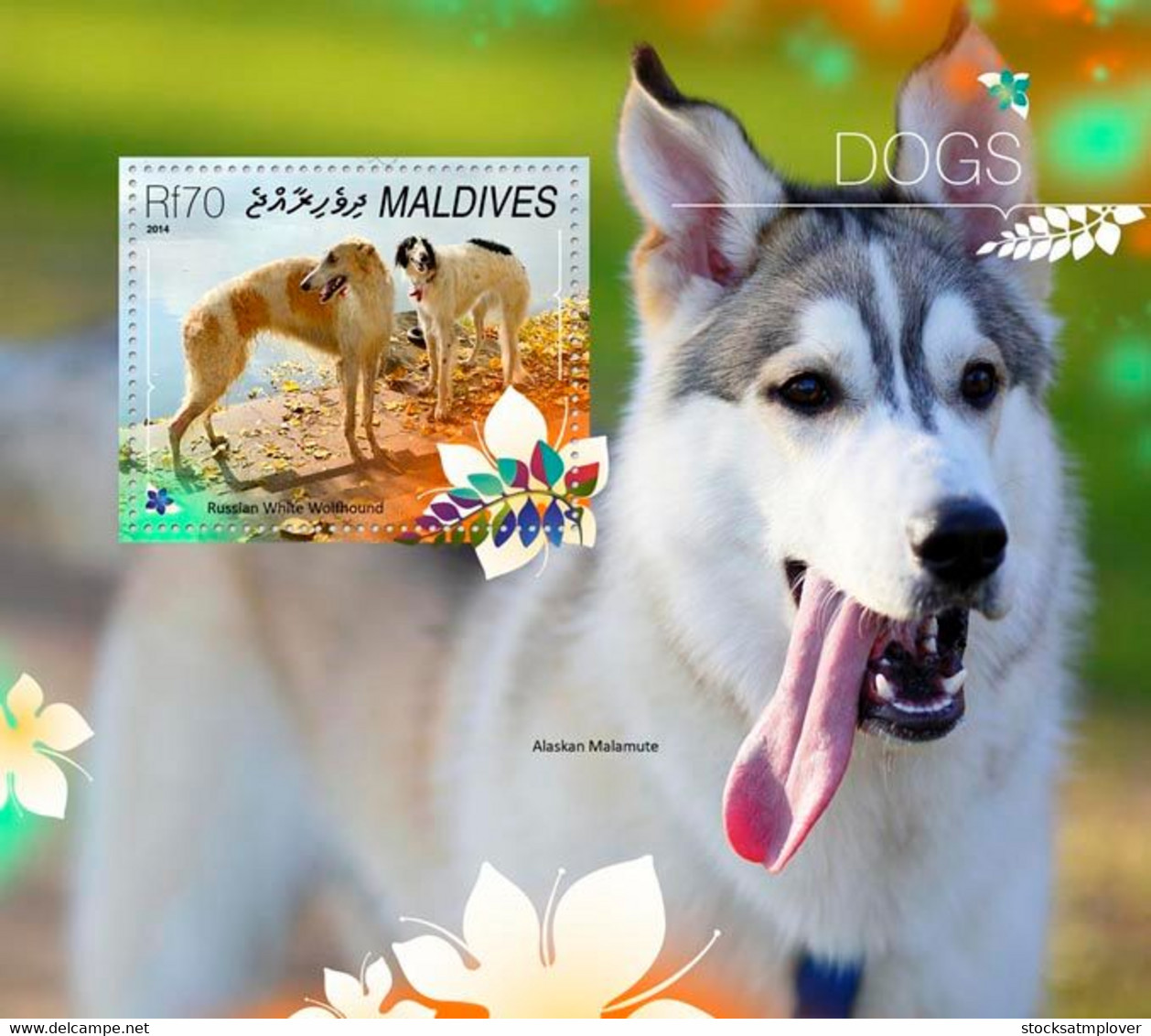 Maldives 2014 Fauna  Dogs - Maldives (1965-...)