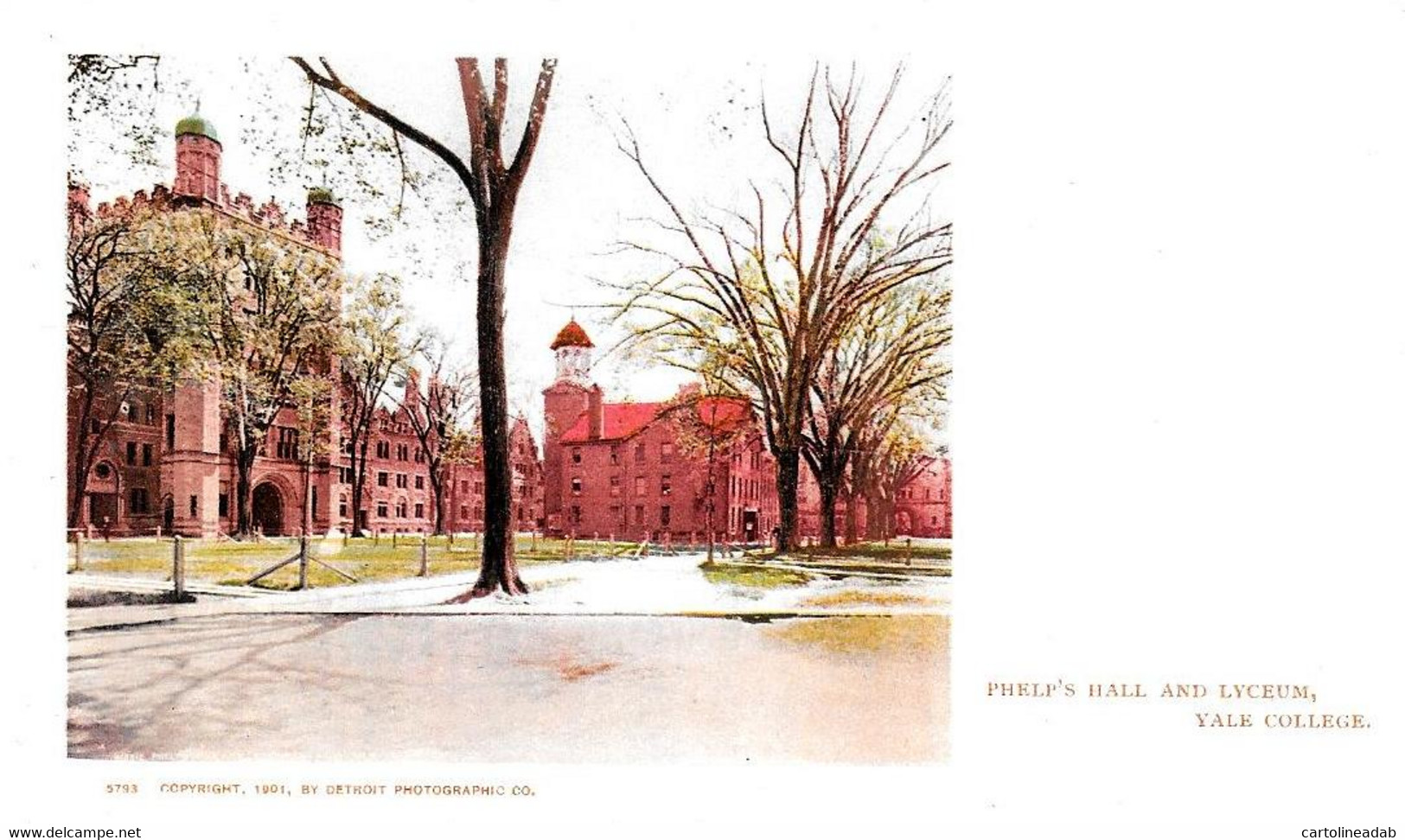 [DC12588] CPA - PHELP'S HALL AND LYCEUM - YALE COLLEGE - PERFECT - Non Viaggiata - Old Postcard - New Haven