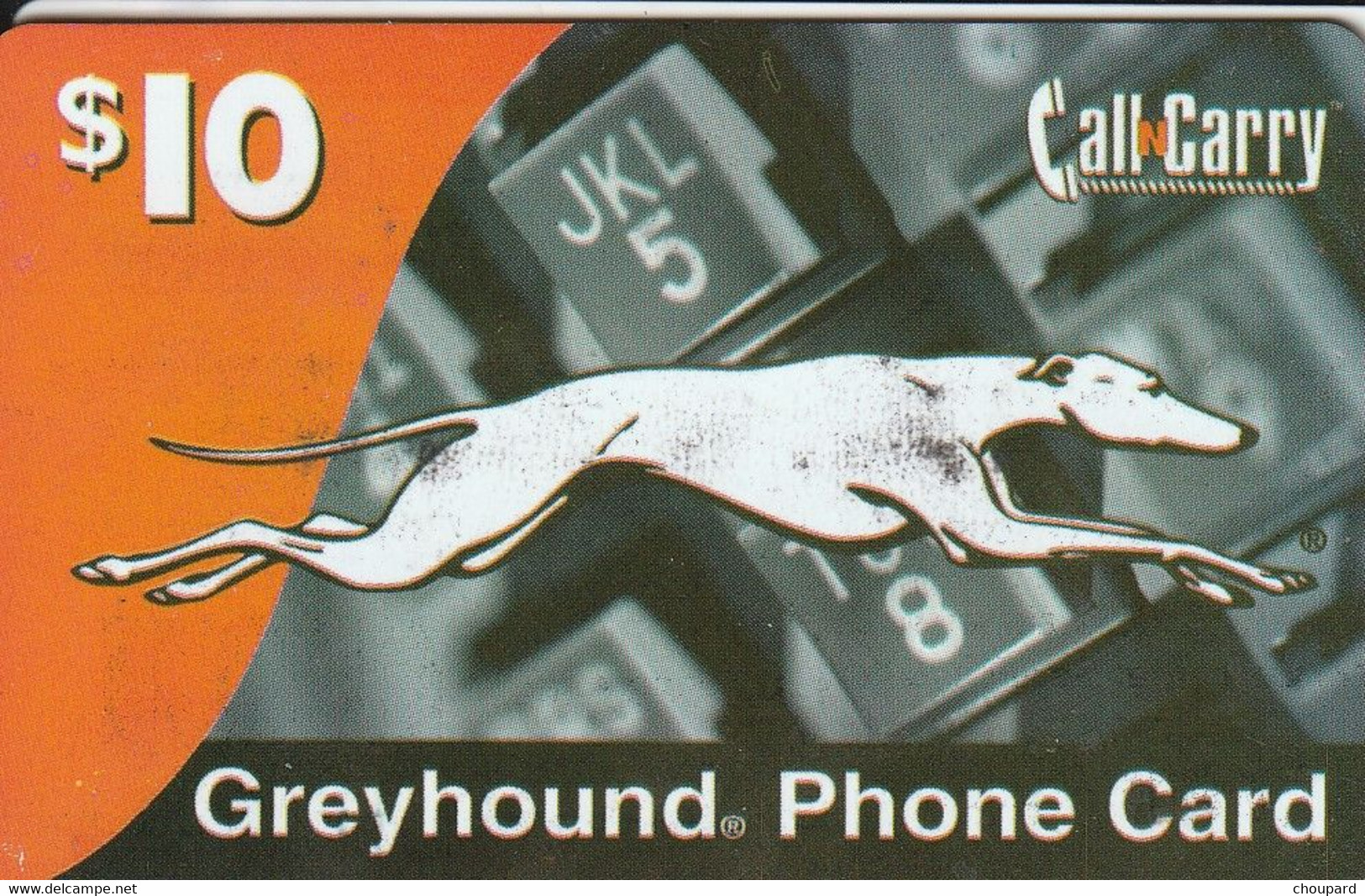 Très Belle Télécarte De Chien Lévrier Greyhound - Perros