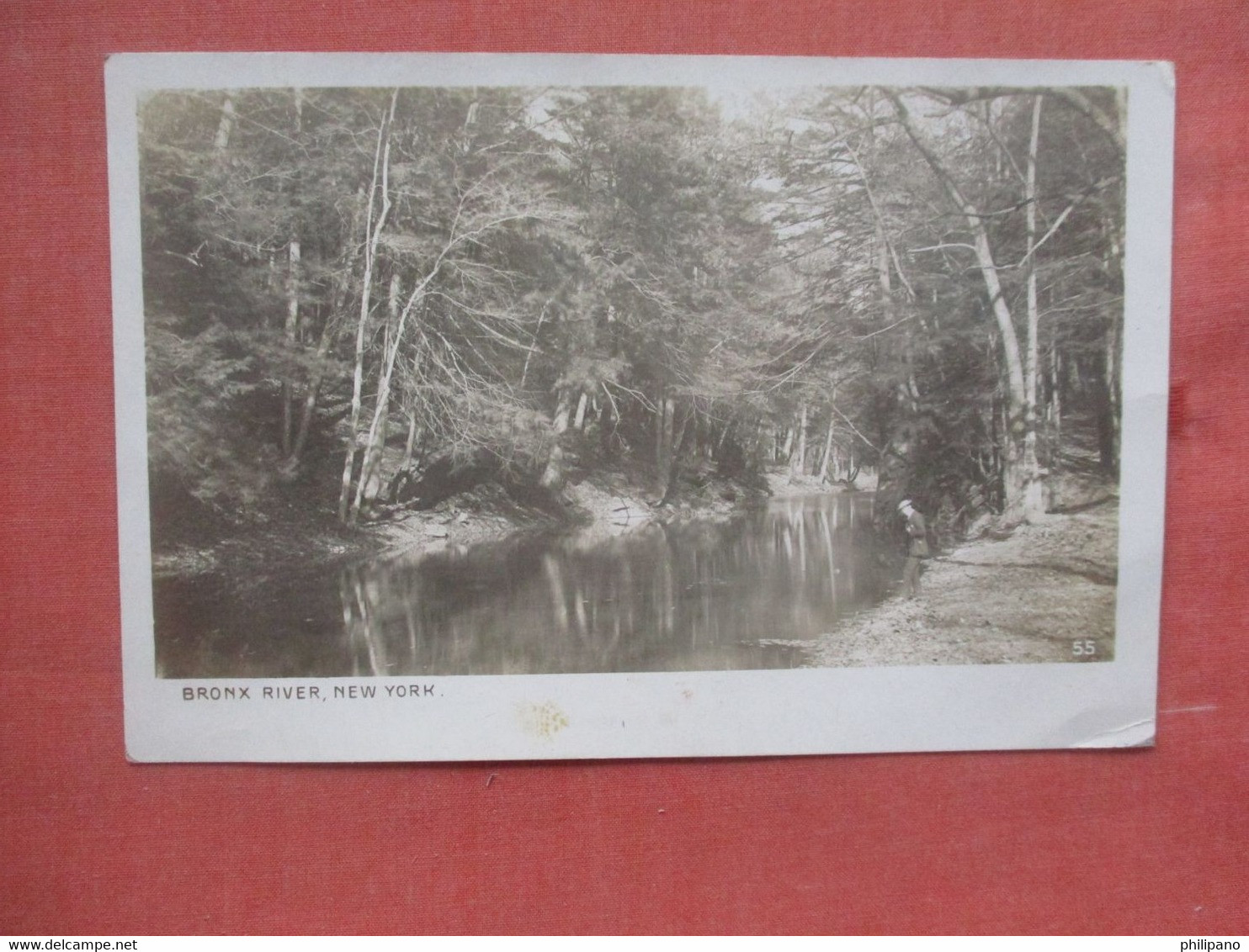 RPPC   New York > New York City >     Bronx River >  Ref 4661 - Bronx