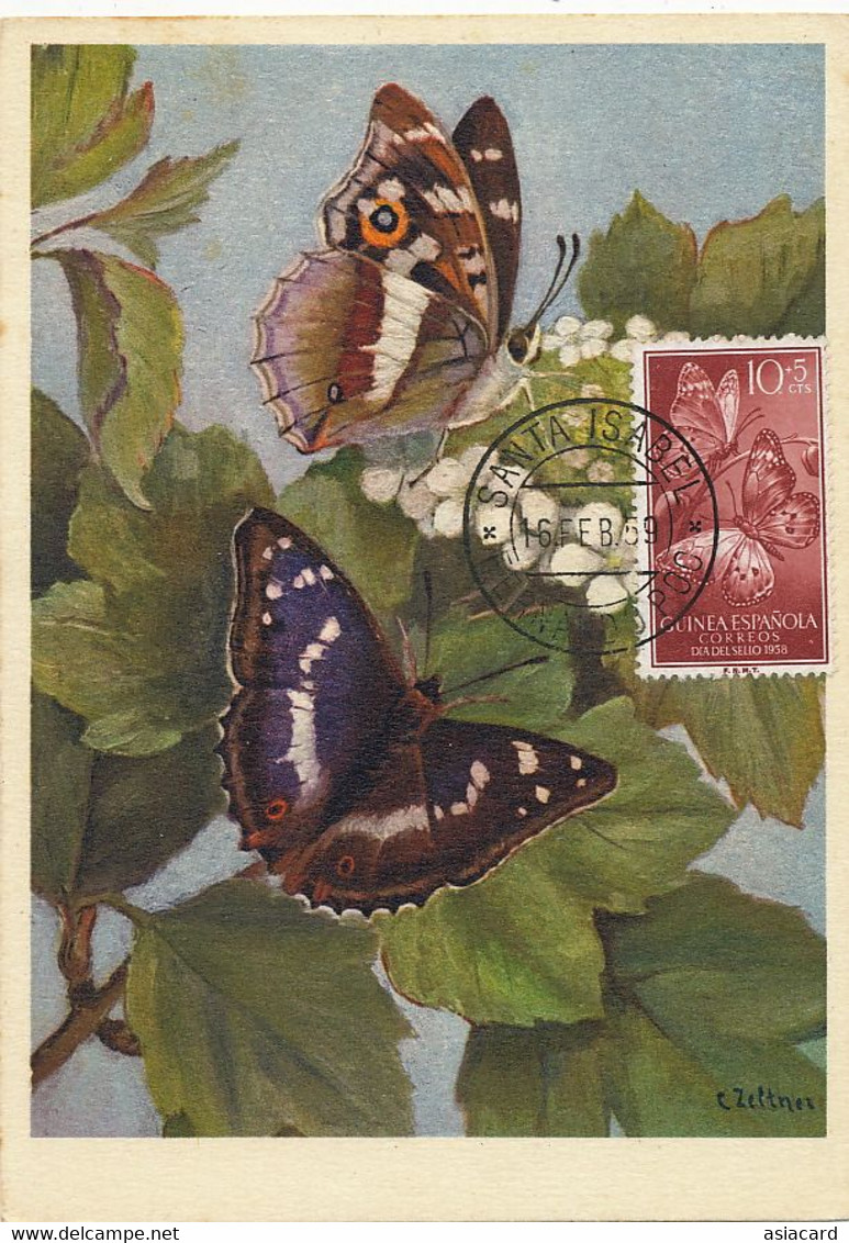 Maximum Card Guinea Papillon Purple Emperor Butterfly Entomology Same Stamp As The Card Zeltner Tesserete Tessin - Guinea Bissau