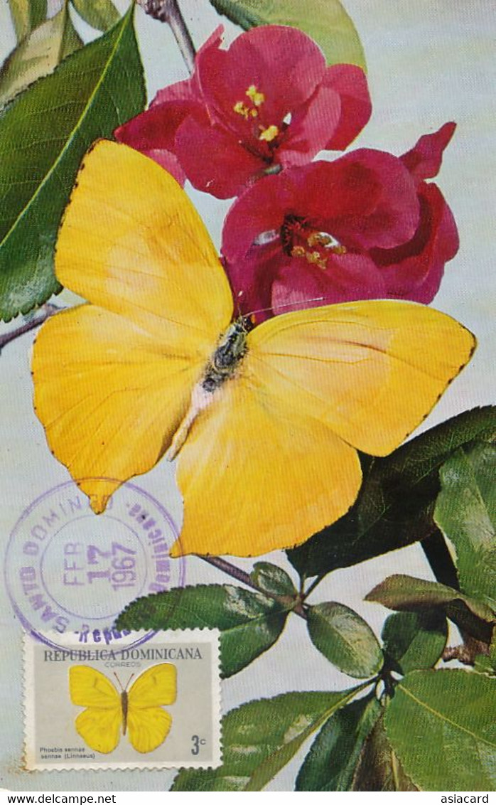 Maximum Card R. Dominicana Papillon Catopsilia Philea  Butterfly Entomology Same Stamp As The Card - Dominicaine (République)