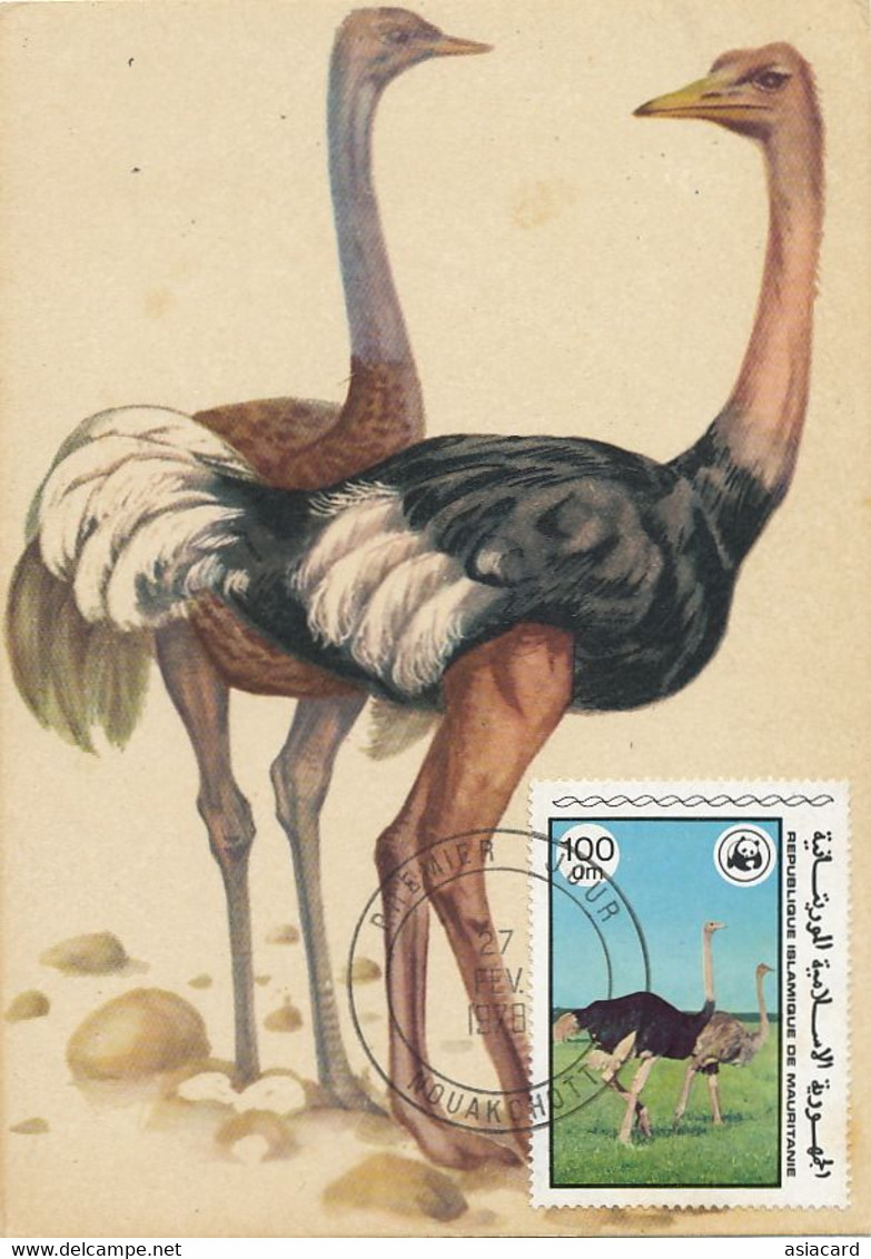 Maximum Card Mauritanie Autruche Ostrich Same Stamp As The Card - Mauritanië