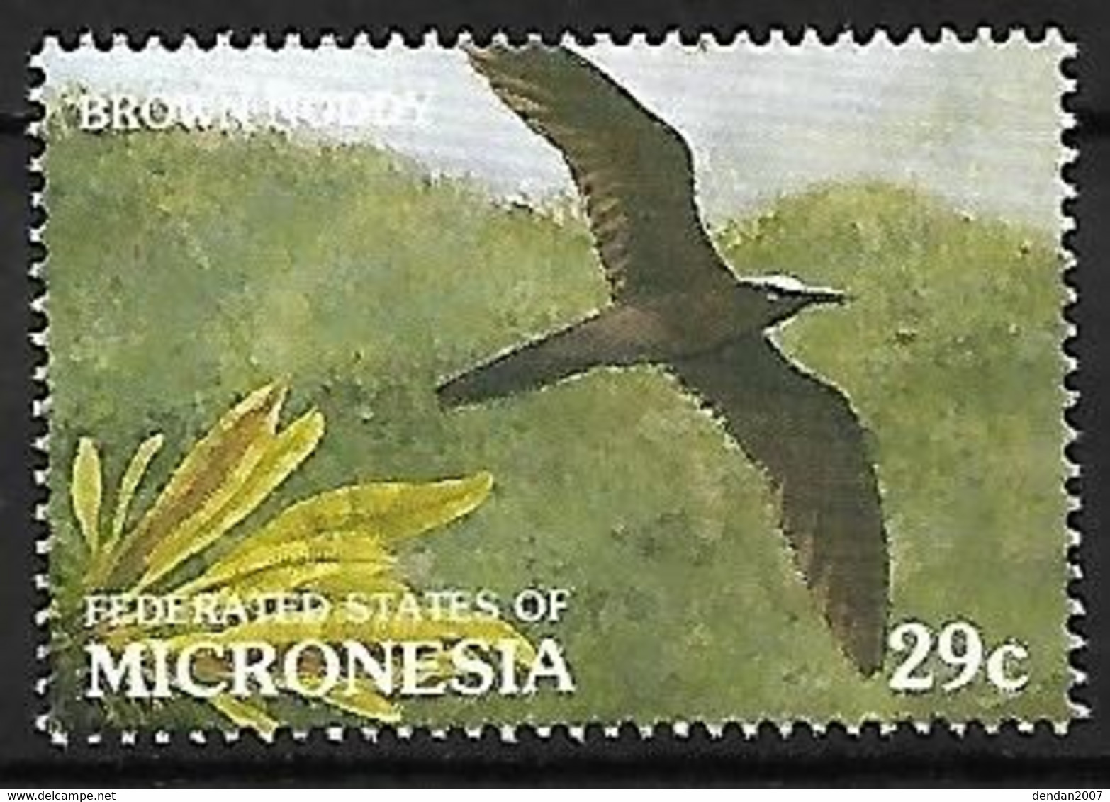 Micronesia - MNH ** 1991 :  Brown Noddy  -  Anous Stolidus - Meeuwen
