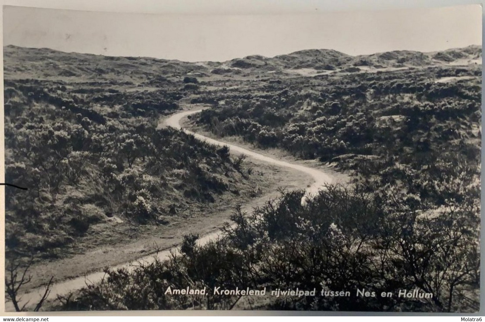 #341 - Kronkelend Rijwielpad Tussen Nes En Hollum, Ameland 1961 - Ameland