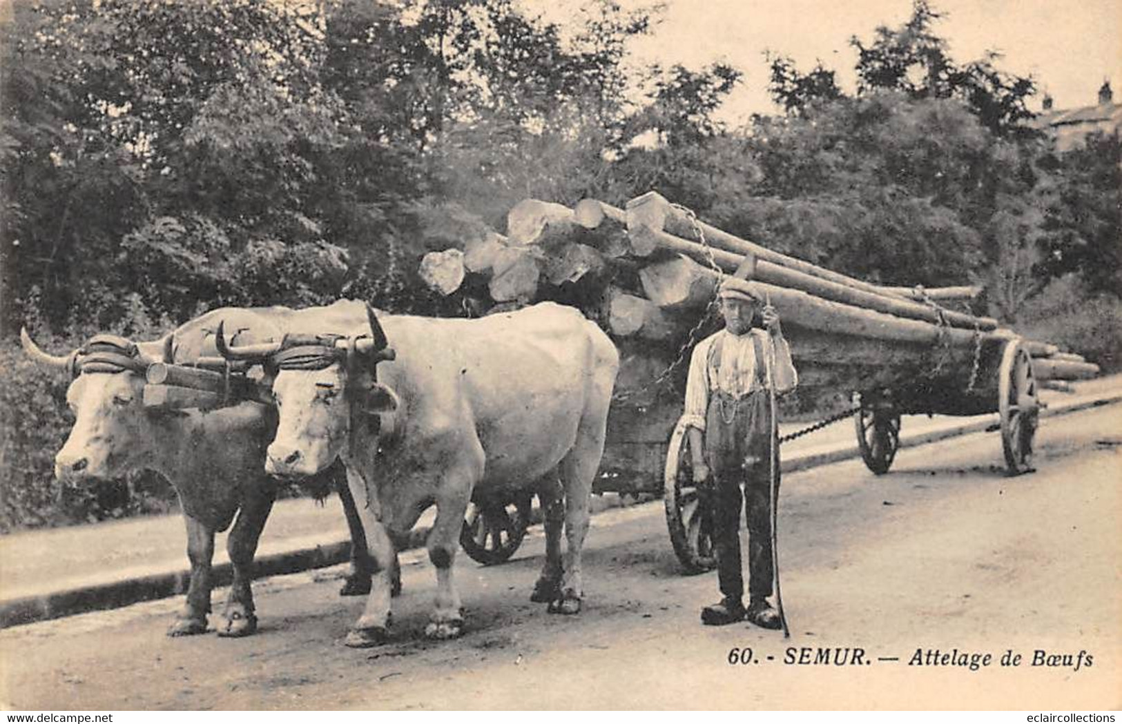 Semur       21      Attelage De Bœufs. Transport De Troncs D'arbres   (voir Scan) - Semur