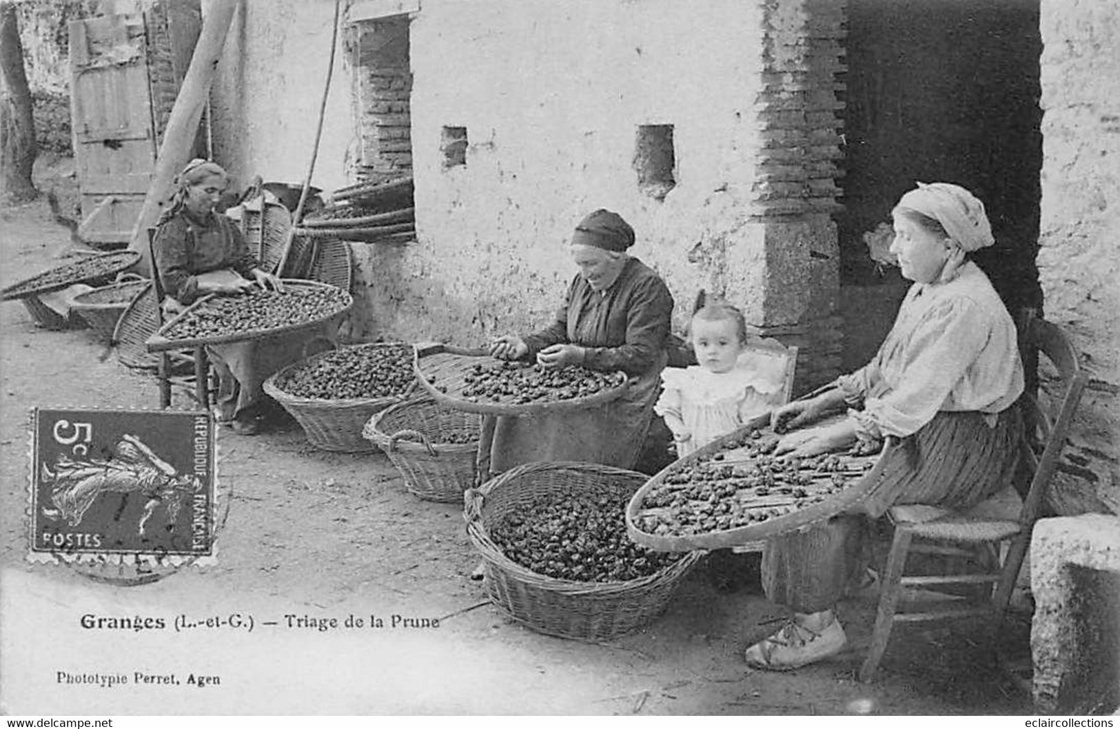 Granges        47      Triage De La Prune       (voir Scan) - Autres & Non Classés