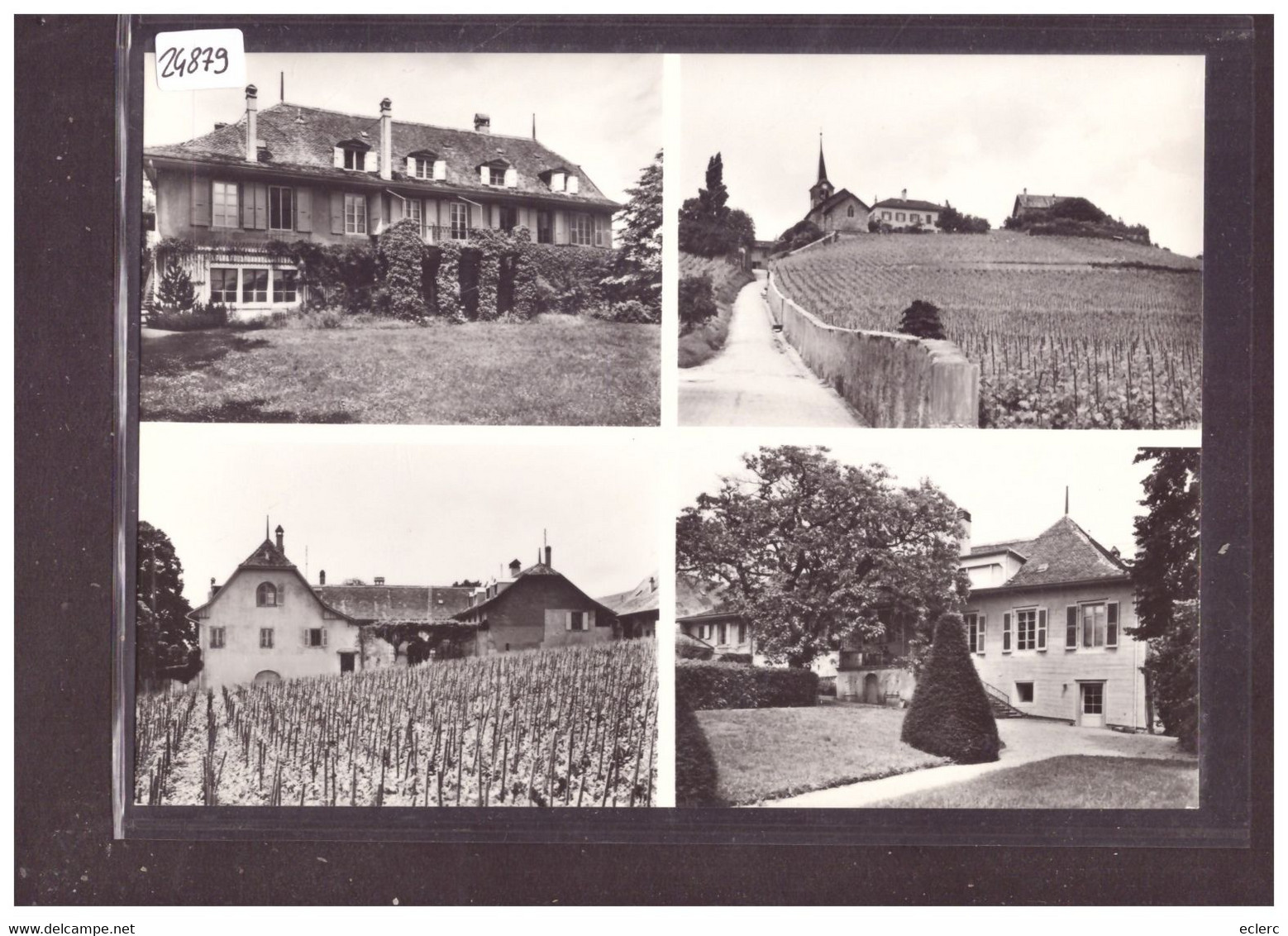 FORMAT 10x15cm - DISTRICT D'AUBONNE - CHATEAU DE FECHY - TB - Féchy