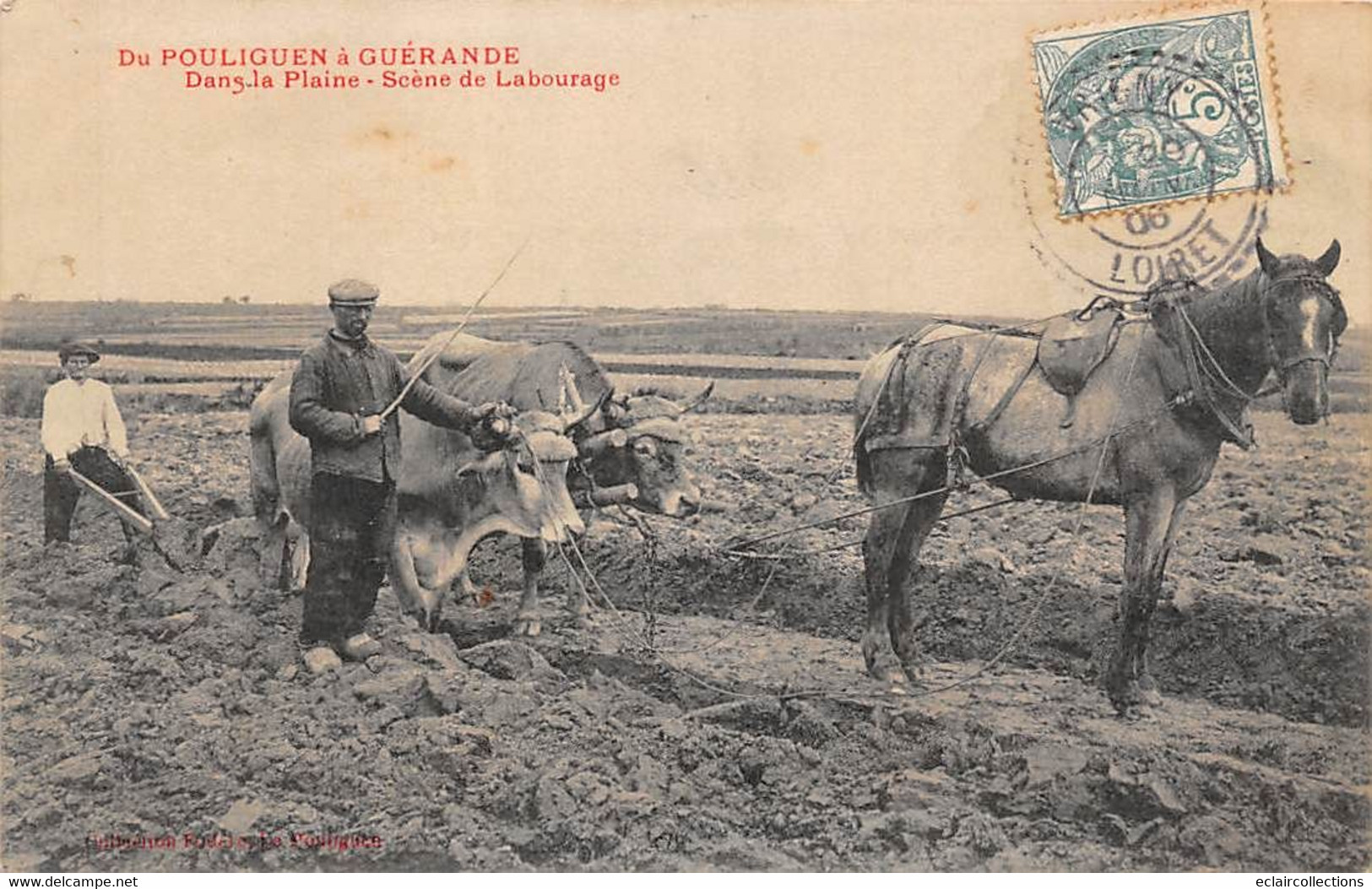 Guérande            44         Scène De Labourage      Le Pouliguen Guérande         (voir Scan) - Guérande