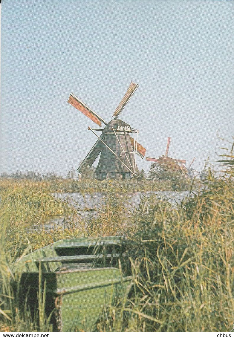 Kinderdijk, Poldermolen Van Het Waterschap De Overwaard Uit 1740 - Kinderdijk