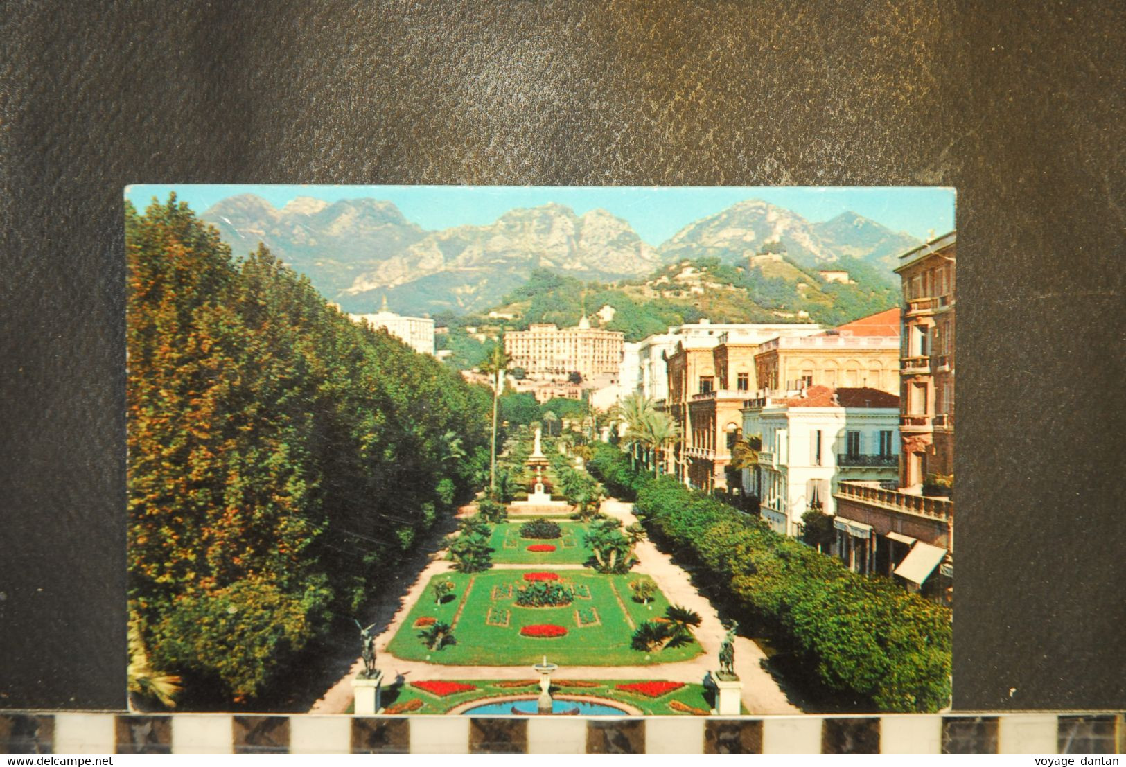 CP, 06,  MENTON, Les Jardins Du Casino - Menton