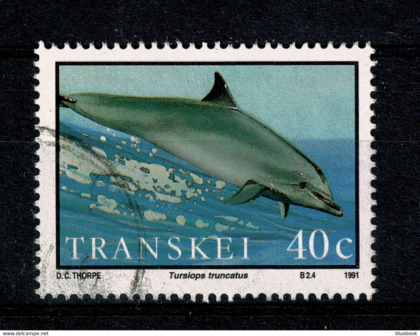 Ref 1463  - Transkei 1991 40c - Used Stamp SG 266 - Bottle Nosed Dolphin - Aquatic Animal Theme - Transkei