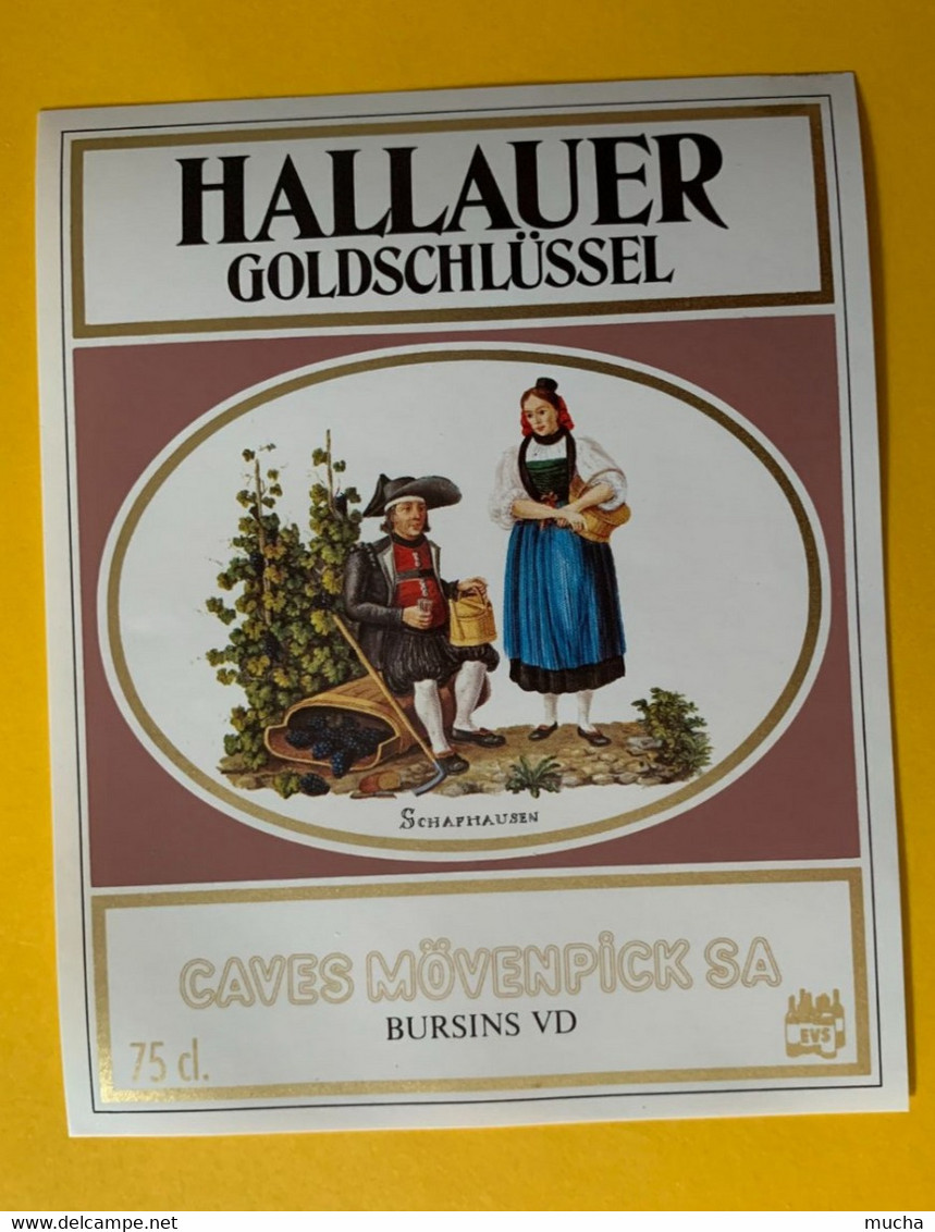 18171 - Hallauer Golschlüssel Schaffhausen - Trachten