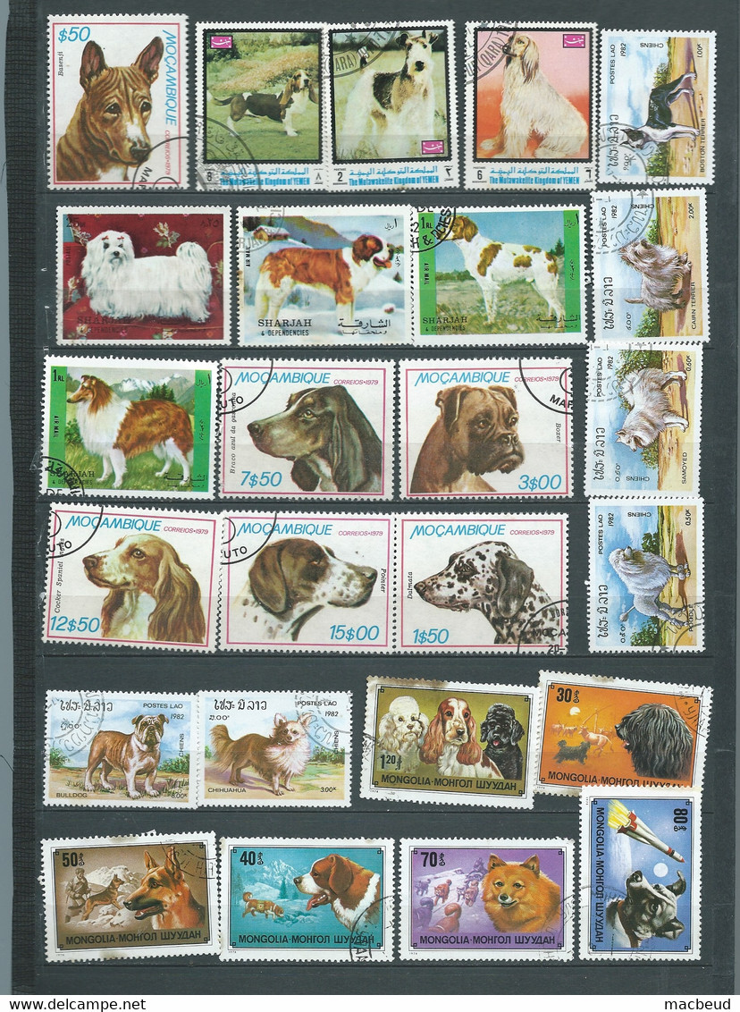 Lot De 25 Timbres , Chiens  Divers Oblitérés -  Pal 3801 - Dogs