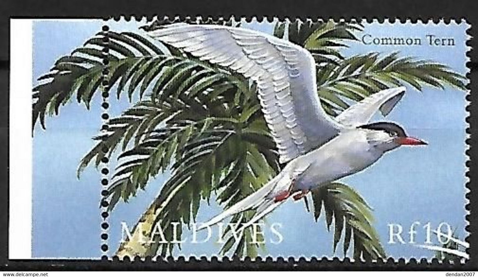 Maldives - MNH ** 2000 :   Sooty Tern  -  Onychoprion Fuscatus - Mouettes