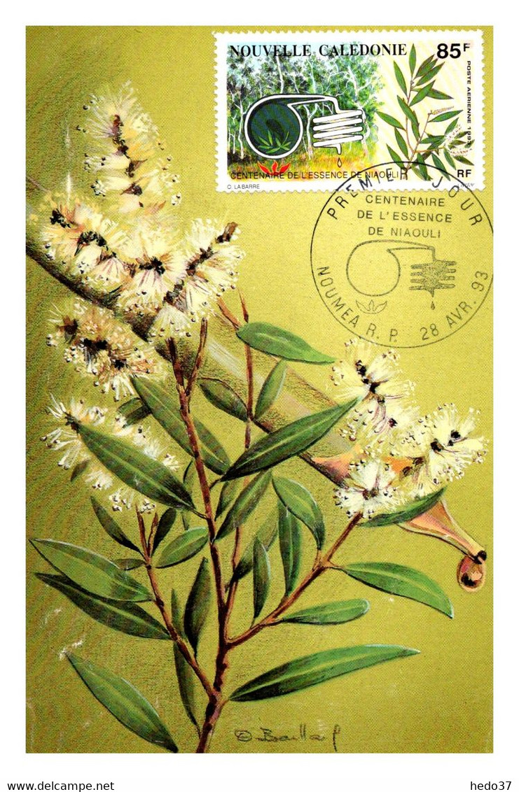 Thème Flore - Nouvelle Calédonie - Carte Maximum - TB - Geneeskrachtige Planten