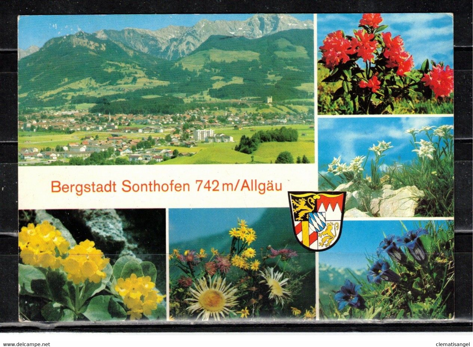 217X * BERGSTADT SONTHOFEN MIT ALPENBLUMEN * IN 6 ANSICHTEN **!! - Sonthofen