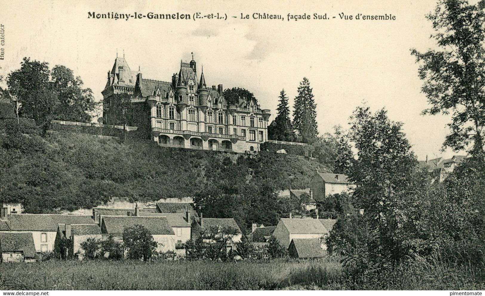 MONTIGNY LE GANNELON LE CHATEAU FACADE SUD VUE D'ENSEMBLE - Montigny-le-Gannelon