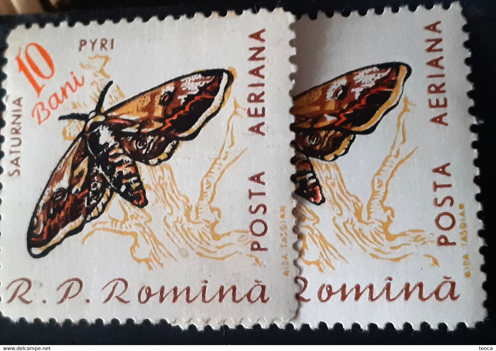 Errors Romania 1960 Mi 1918 Offset Butterfly Printing,  Moth ,butterfly - Errors, Freaks & Oddities (EFO)