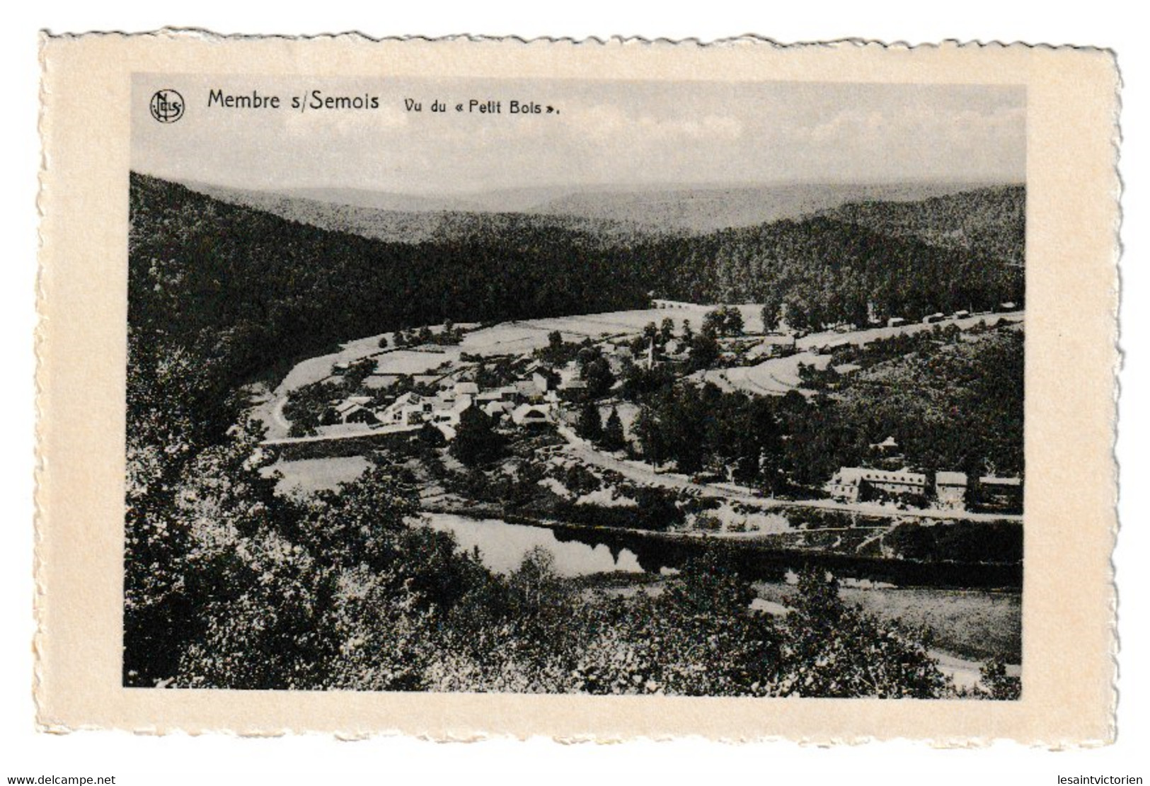 MEMBRE SEMOIS VUE DU PETIT BOIS - Vresse-sur-Semois