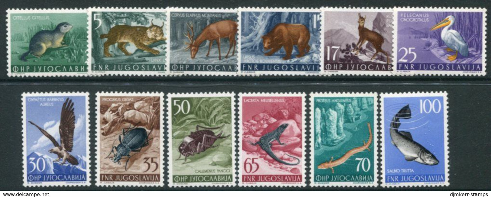 YUGOSLAVIA 1954 Fauna Set Fine MNH / **.  Michel 738-49 - Neufs