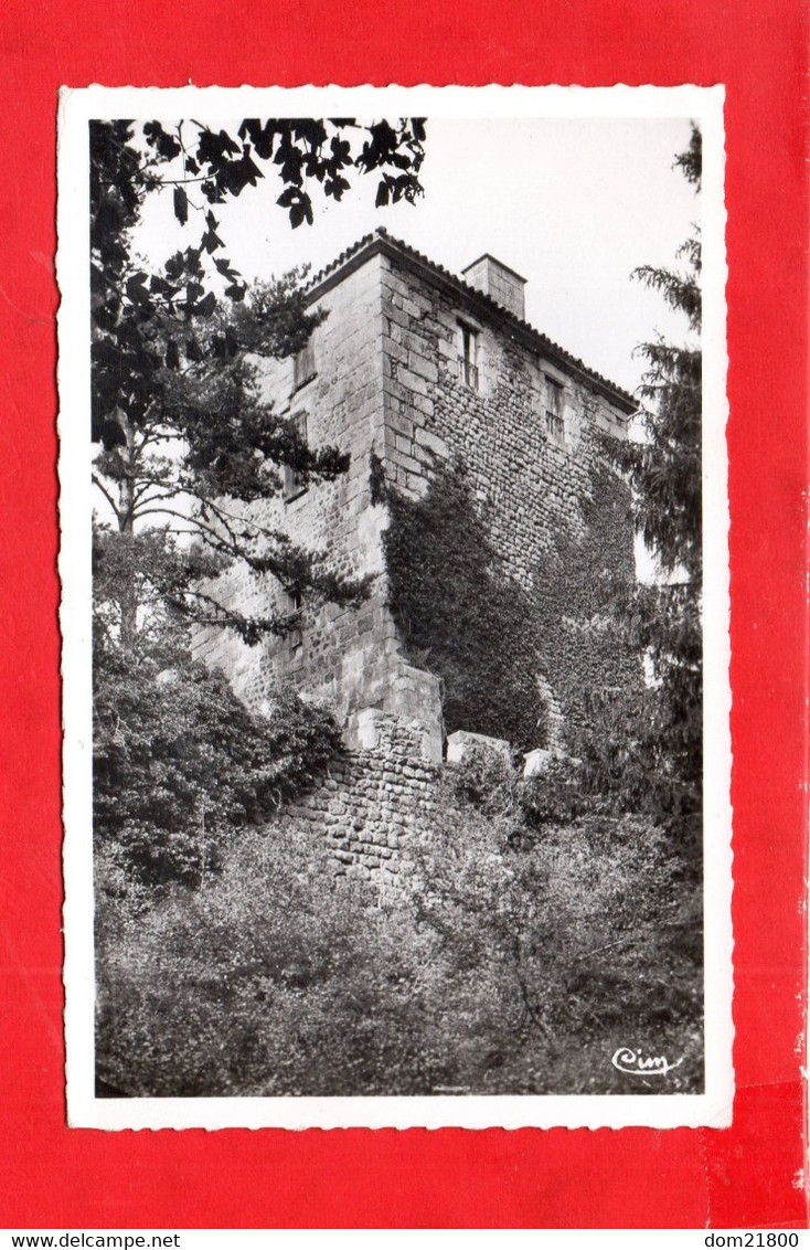 63 -  Saint ANTHEME : Château De La Roue - Other & Unclassified