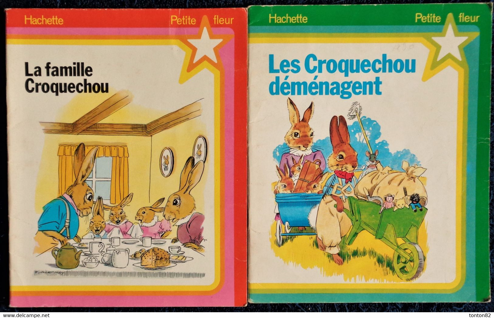 Collection " Petite Fleur " - Lot De DEUX Livres - Hachette - ( 1980 ) . - Hachette