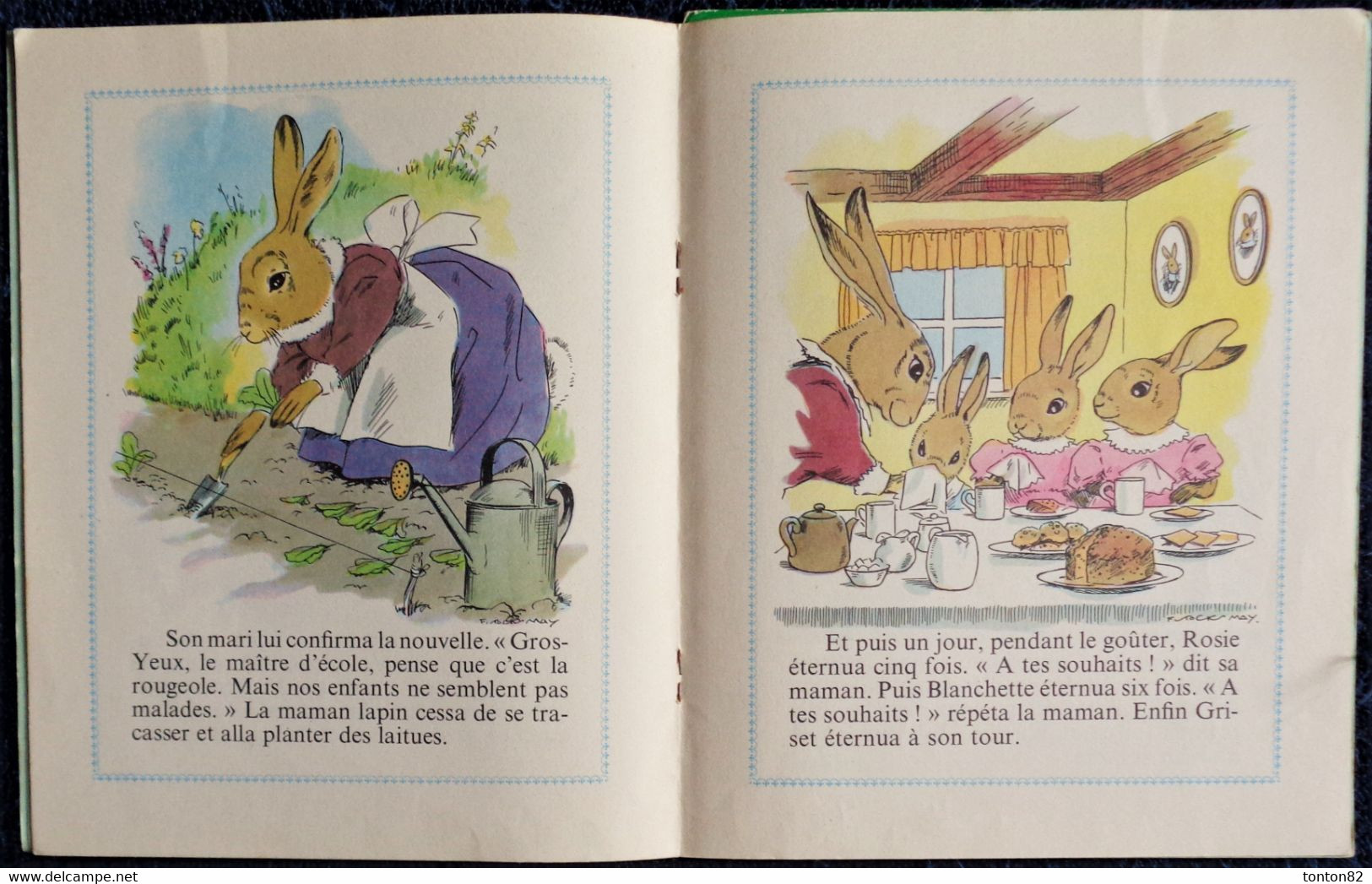 Collection " Petite Fleur " - Lot De DEUX Livres - Hachette - ( 1980 ) . - Hachette