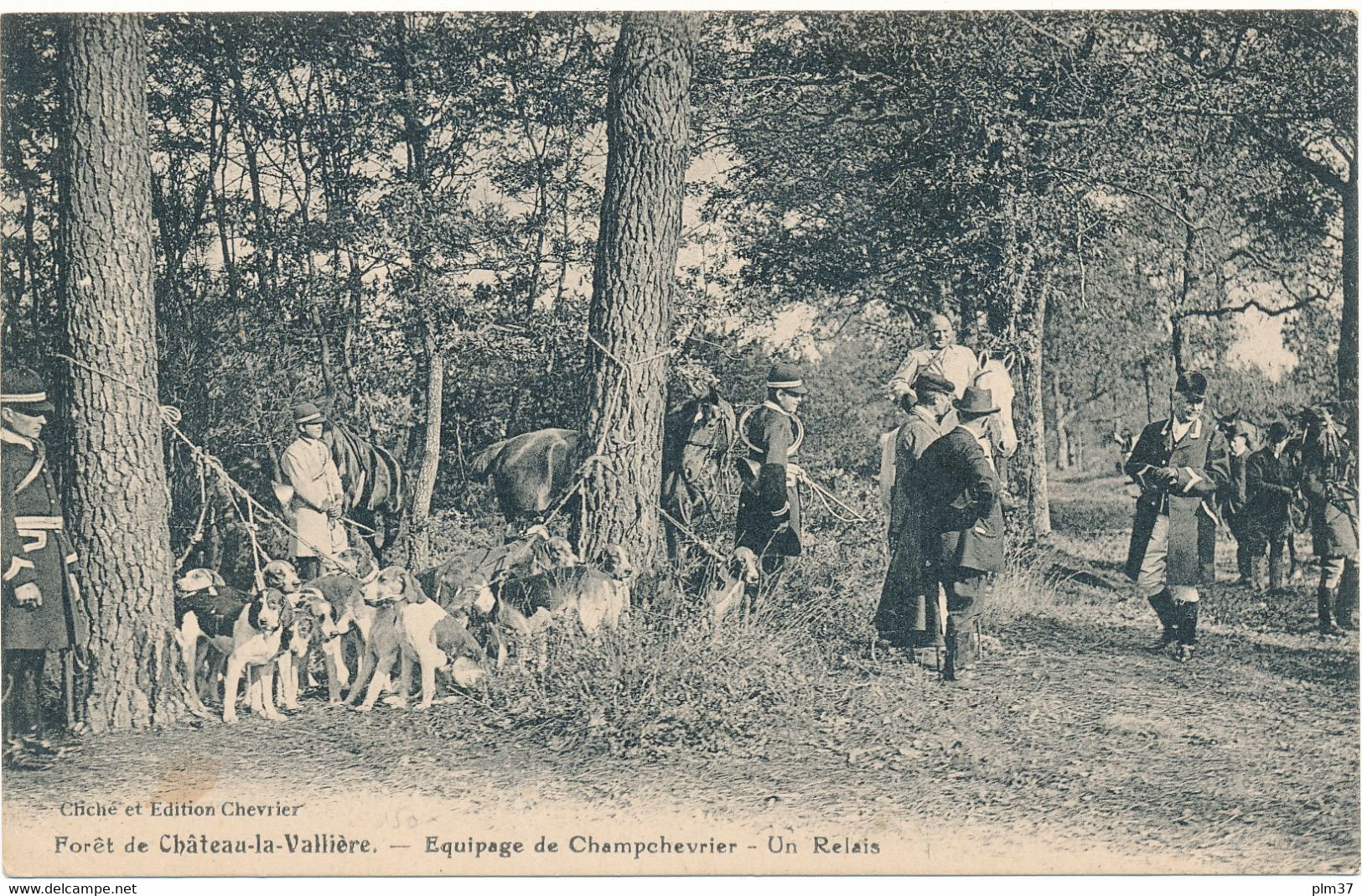 CLERE LES PINS - Chasse à Courre, Equipage Champchevrier - Cléré-les-Pins