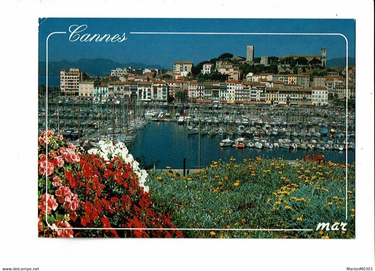 06 - CANNES - Le Port - 7694 - Cannes