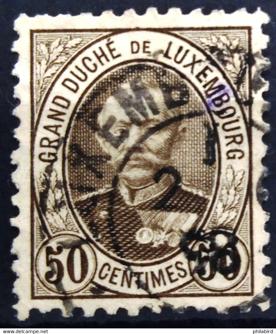 LUXEMBOURG                         N° 65                                OBLITERE - 1891 Adolfo De Frente