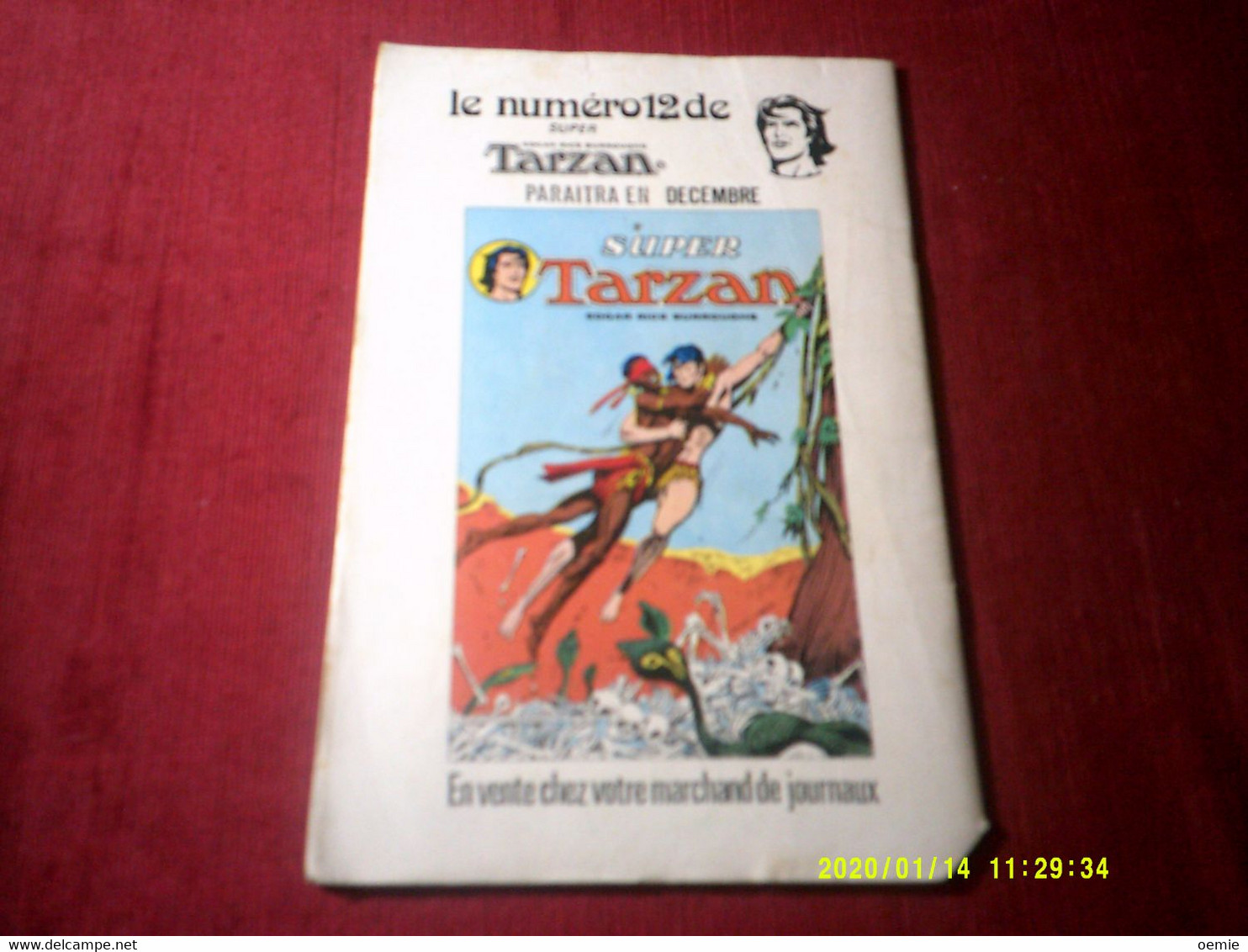 SUPER TARZAN  N° 11  (1979 ) - Tarzan