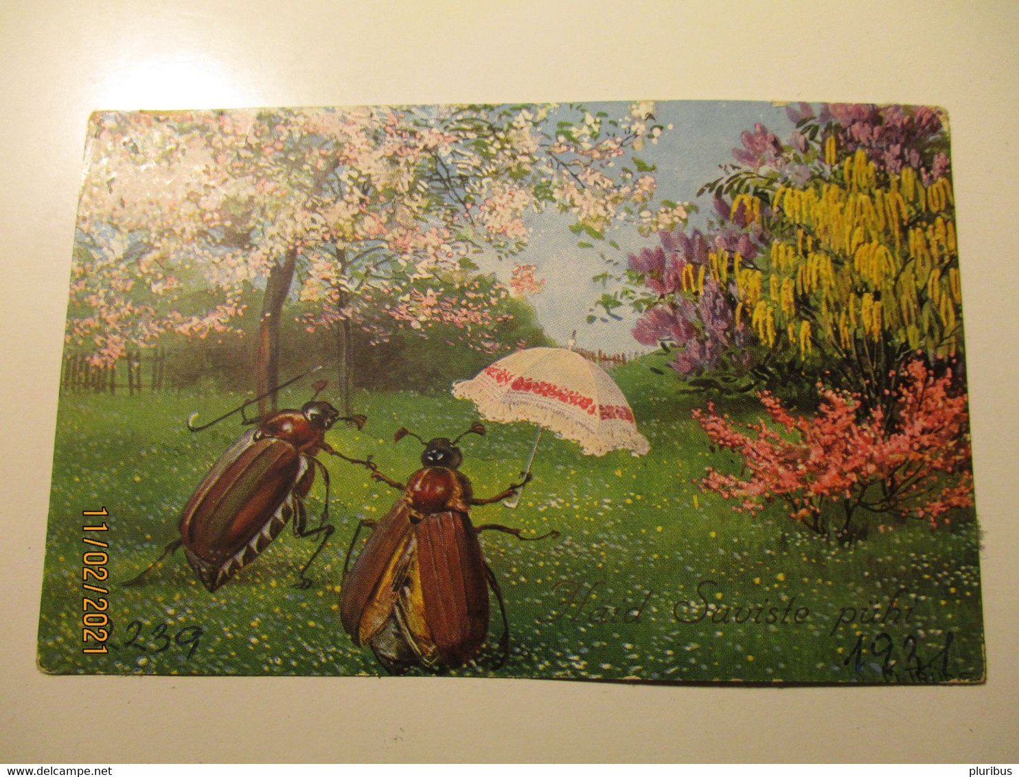 INSECTS MAYBUG BEETLE COUPLE WITH UMBRELLA , SIGNED TRÜBE TRUEBE   , OLD POSTCARD  , 0 - Truebe, Maxim